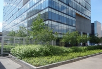 Аренда и продажа офиса в Бизнес-центр Аэродом